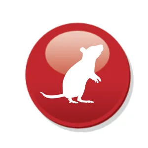 essex rat control